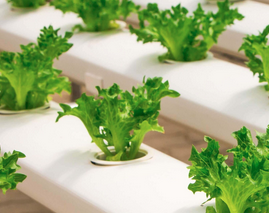 Vertical Farming Leverages Modular Automation Stations