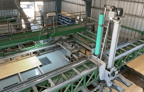 Plywood Manufacturer Boosts Production & Safety